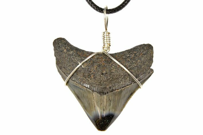 1.65" Fossil Megalodon Tooth Necklace